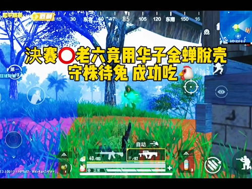 和平精英兔子跳怎么用 兔子跳操作攻略