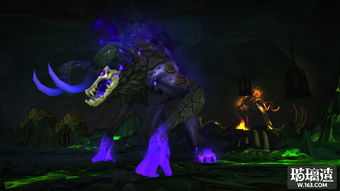 第七史诗兰蒂怎么样 兰蒂好用吗