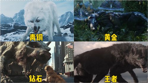 原神北风的王狼在哪 北风的王狼位置介绍