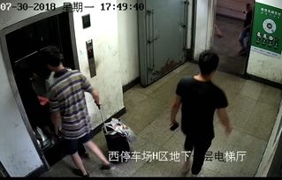 犯罪大师行李箱里的女人凶手答案 案件具体分析 犯罪大师行李箱里的女人凶手答案 案件具体分析