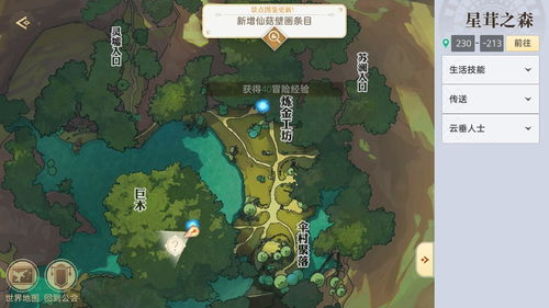 天谕手游三生树位置分享 三生树坐标一览