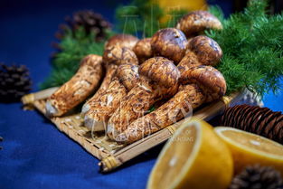 小森生活松茸在哪里怎么刷 松茸在什么位置