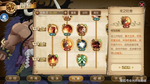 航海王燃烧意志凯多怎么样 凯多技能介绍