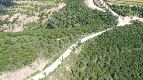 原神渌华池另一个石头在哪 另一个石头位置介绍