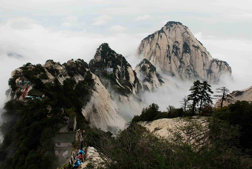 我的侠客怎么跳崖 华山及衡山跳崖方法详解