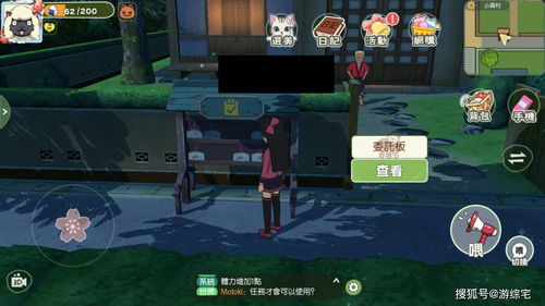 小森生活养猫攻略 宠物亲密度提升攻略