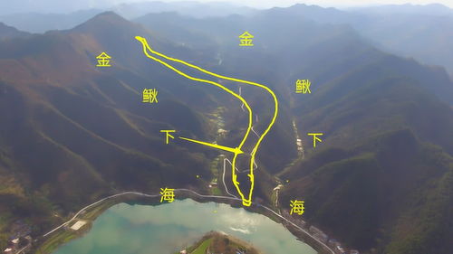 原神鳅鳅宝玉在哪 金鳅鳅地图分布位置