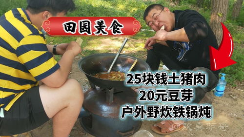 小森生活野炊锅怎么用 野炊锅怎么获得