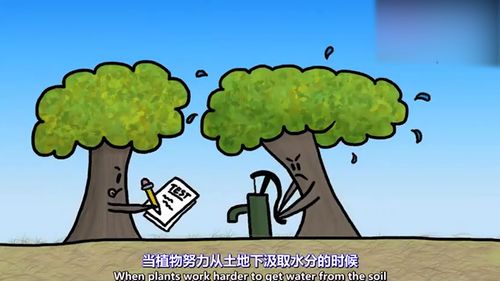 最后一步如何度过冬天 过冬的攻略方法