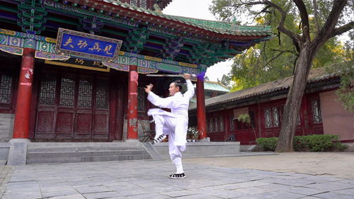 烟雨江湖少林寺该怎么玩 少林寺玩法攻略讲解