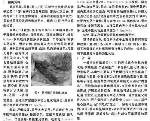 犯罪大师人生回忆录答案攻略 人生回忆录案件分析