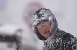 光遇熊抱雪人先祖在哪 熊抱雪人先祖兑换图