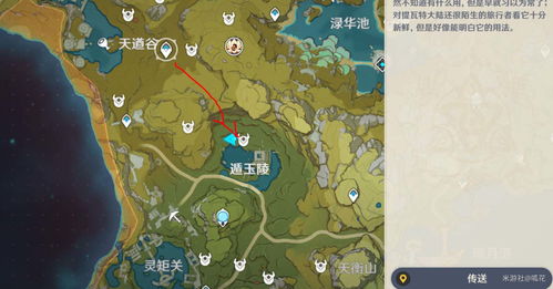 原神佳肴尚温活动第三天任务攻略 佳肴尚温第三天任务路线