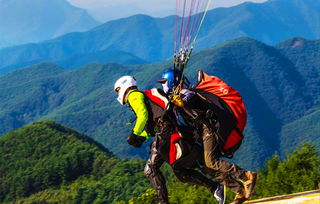 小森生活滑翔伞怎么获得 滑翔伞在哪买