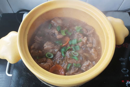 原神稠汁蔬菜炖肉食谱怎么获得
