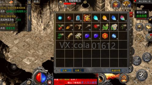 屠龙破晓藏品系统该如何玩 藏品系统玩法攻略讲解