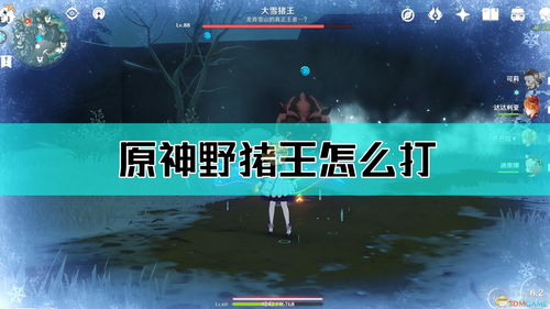 原神雪猪王怎么打 雪猪王打法攻略