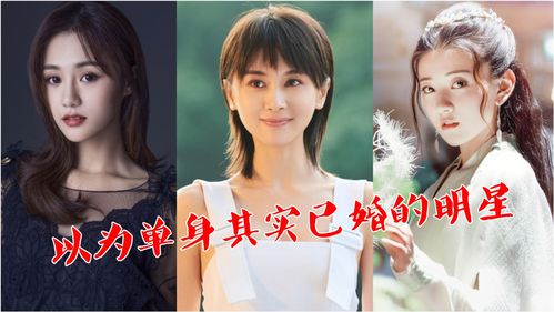 平行人生怎么当明星 当明星攻略