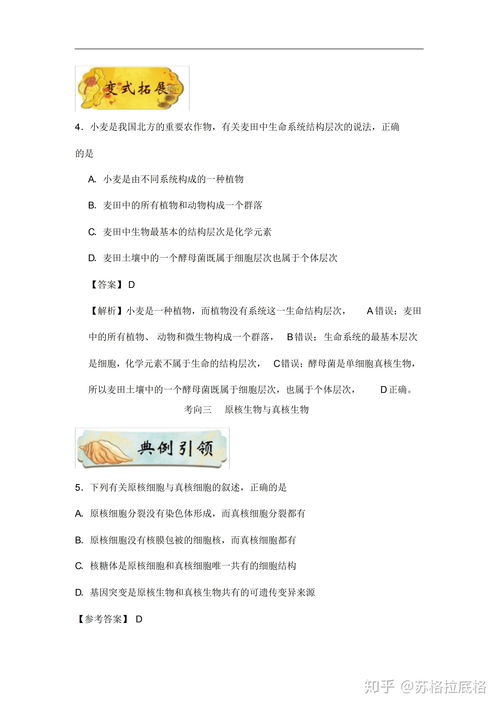荒野日记孤岛答题答案大全最新 孤岛答案大全
