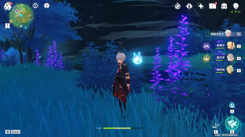 原神藏宝地9在哪里 藏宝地10多人挑战攻略