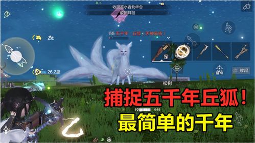 妄想山海丘狐怎么打 丘狐刷新点介绍