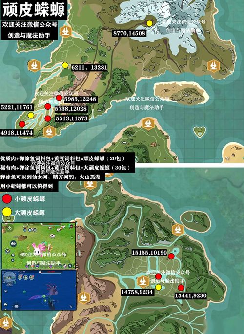 创造与魔法龙树岛资源图 龙树岛资源分布介绍