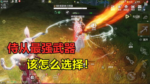 妄想山海鸿彦侍从怎么招募 游风者侍从招募攻略