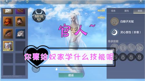 妄想山海最强千年宠物排行攻略