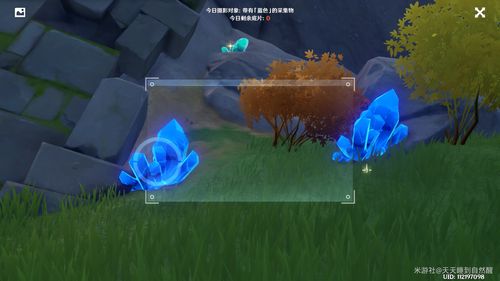 原神福至五彩红色采集物在哪