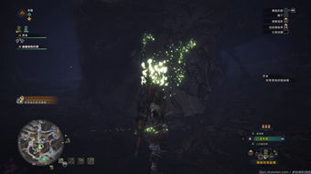 原神紫色生物在哪 紫色采集物位置介绍