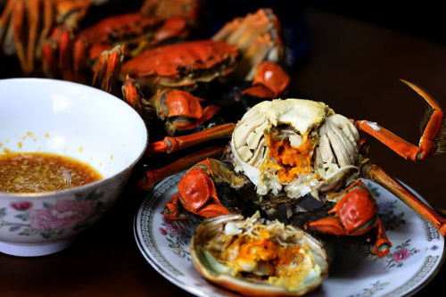 江南百景图螃蟹什么用 螃蟹作用介绍