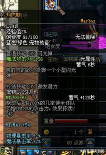 提灯与地下城宠物排名 宠物强度排行大全