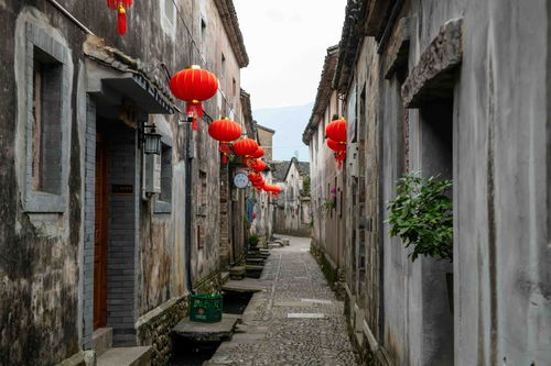 江南百景图风吹柳花满店香概率介绍