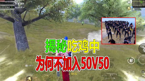 和平精英桥头50v50模式什么时候上线