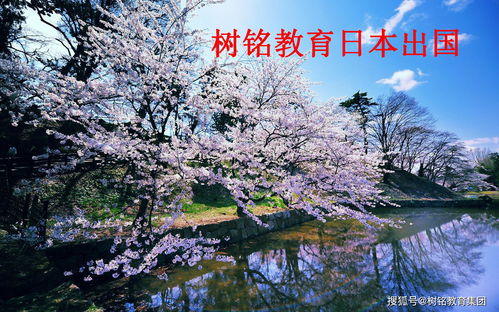 光遇樱花节兑换表 樱花节斗篷价格