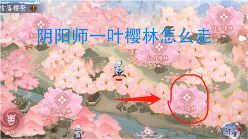 阴阳师一叶樱林怎么过 一叶樱林通关路线