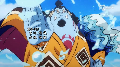 海贼王和之国vip怎么样 vip划算吗