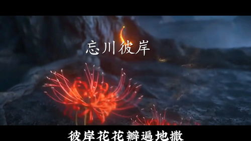 忘川风华录悲之歌密码是什么 悲之歌盒子密码