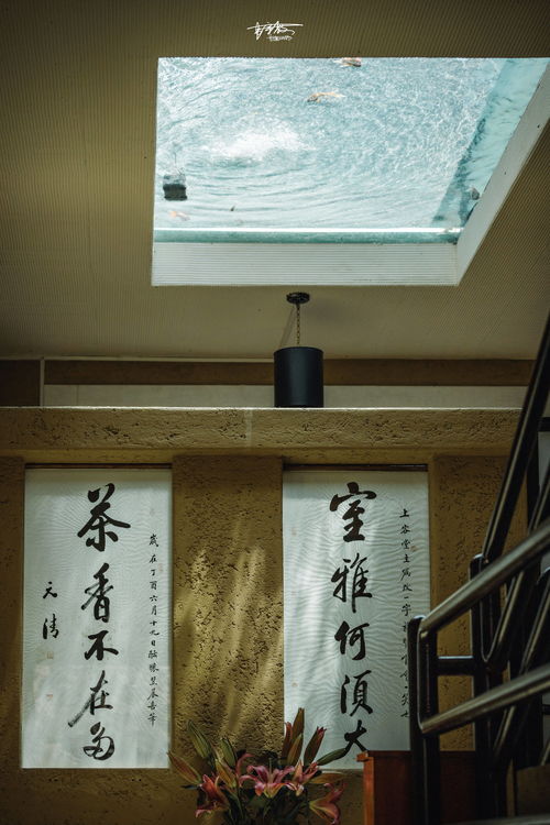 光遇花憩节兑换表 花憩节先祖位置