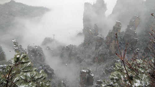 鬼谷八荒盘龙山在哪 盘龙山怎么打
