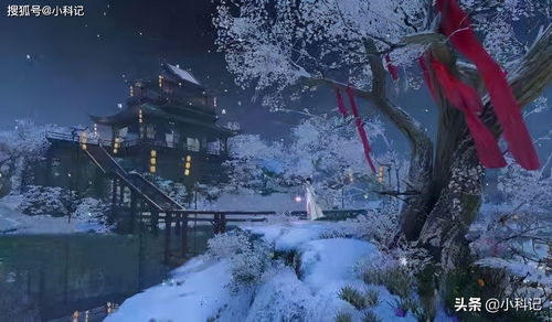 烟雨江湖雪兔子在哪里 雪兔子位置坐标