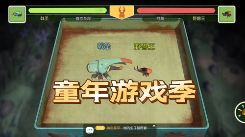 小森生活农作物价格攻略 农作物出售价格大全