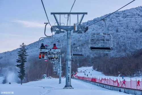 阴阳师银道雪场怎么玩 银道雪场滑雪攻略 阴阳师银道雪场怎么玩 银道雪场滑雪攻略