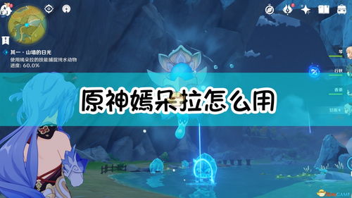 原神嫣朵拉怎么用 嫣朵拉有什么用