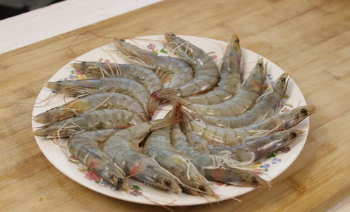 小森生活对虾在哪 对虾有什么用