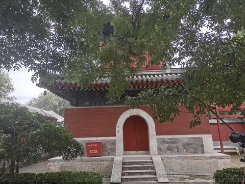 原神翠石砌玉壶其一任务怎么做 翠石砌玉壶其一任务攻略 原神翠石砌玉壶其一任务怎么做 翠石砌玉壶其一任务攻略