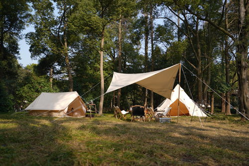 光遇帐篷怎么获得 小棚子获取攻略