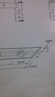 原神竹节在哪 竹节位置坐标