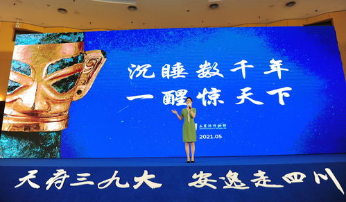 我是大东家游历技巧 游历怎么玩