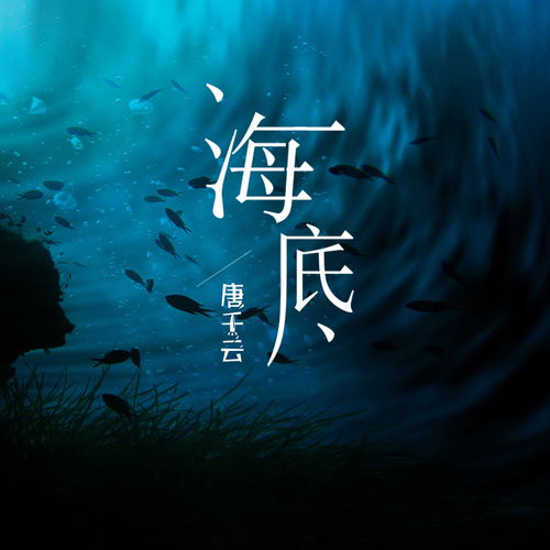 摩尔庄园手游钢琴在哪 钢琴位置介绍